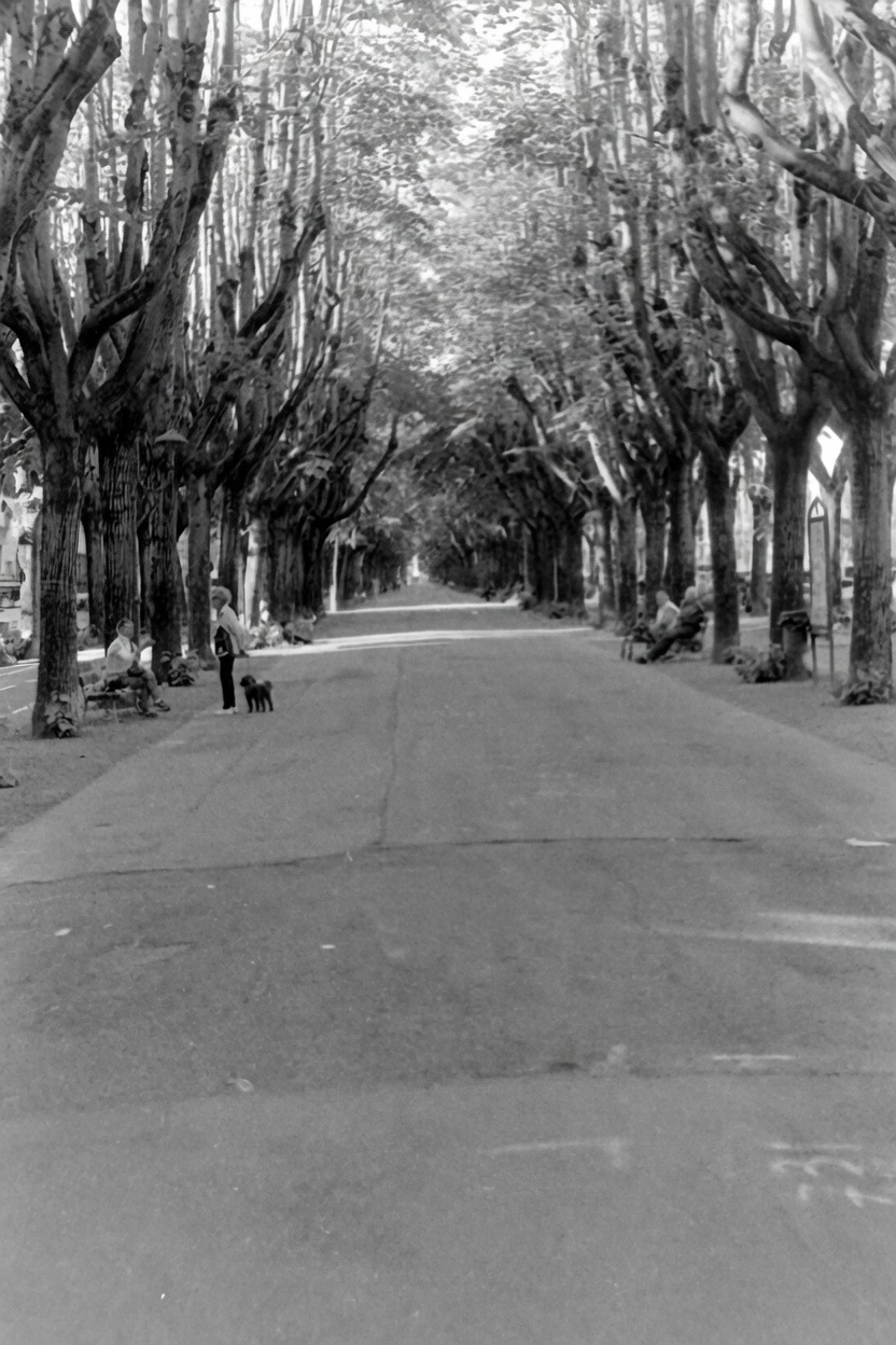 vour a Vercelli