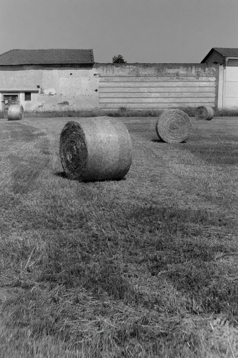 Rotoballe e cuboballe