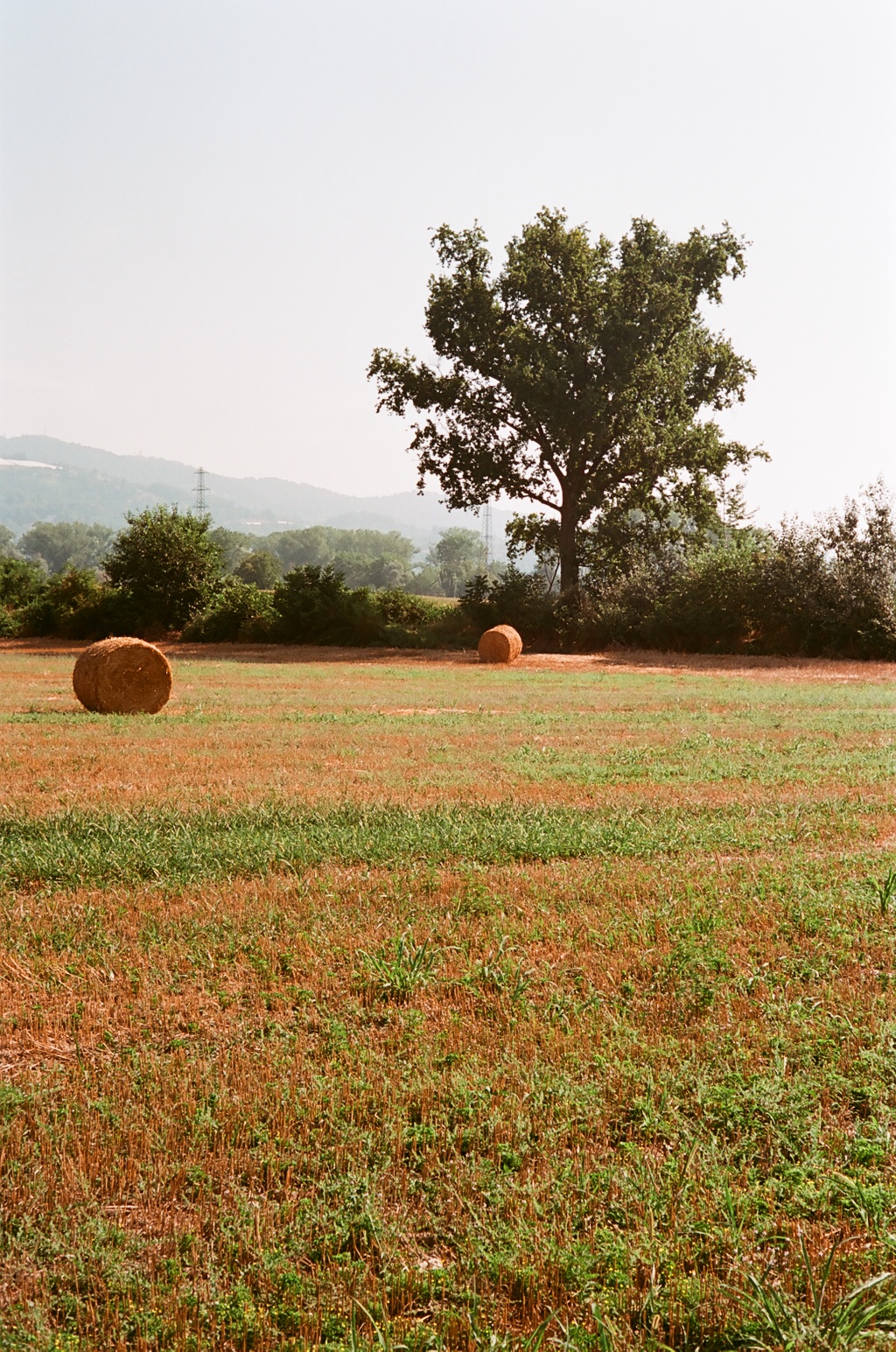 Rotobal