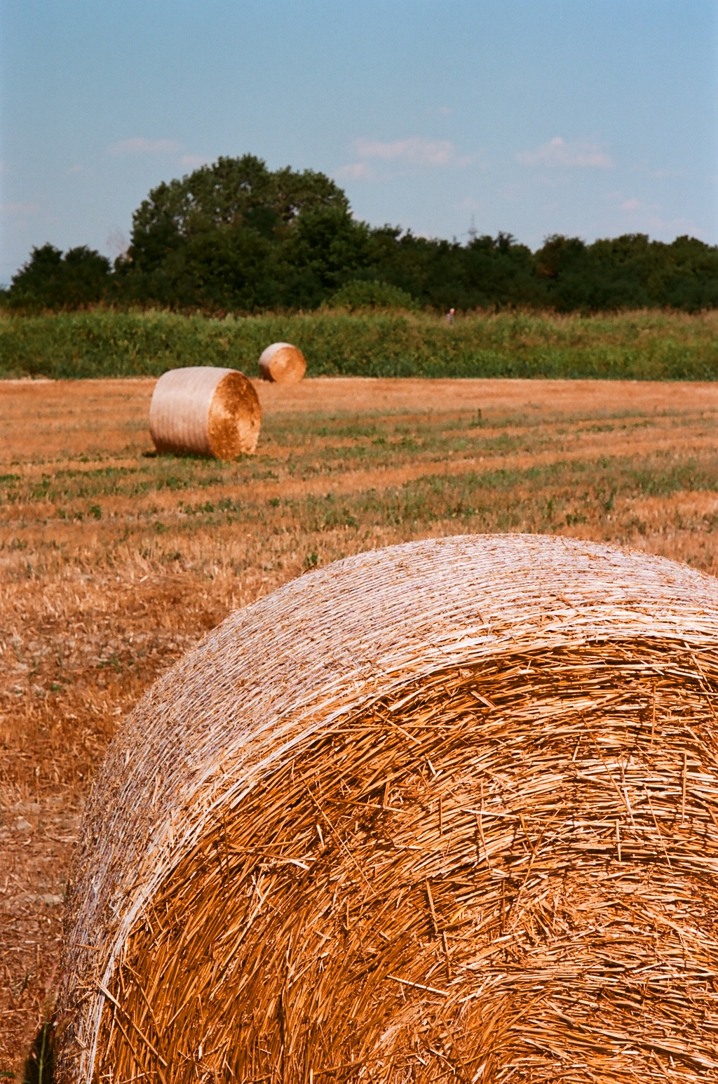 Rotobal