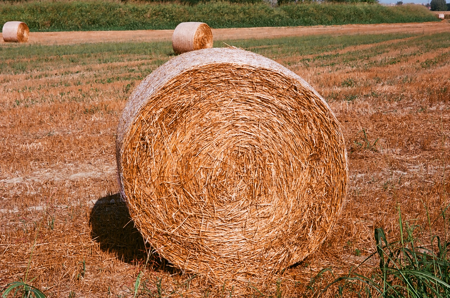 Rotobal