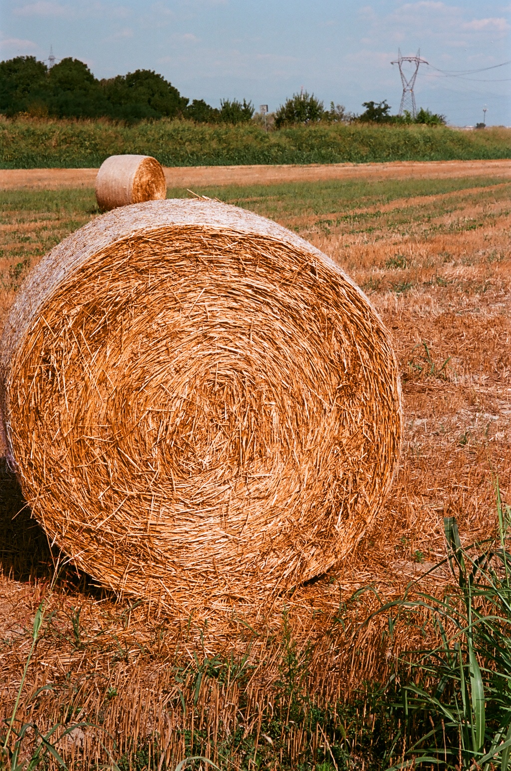 Rotobal