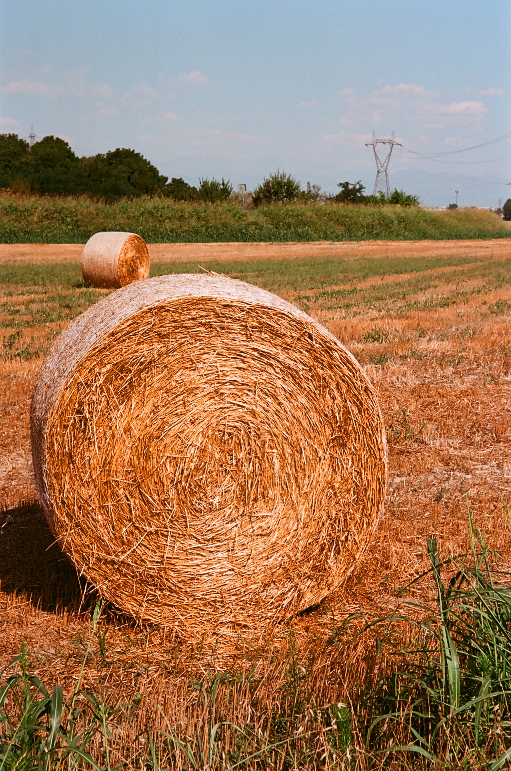 Rotobal