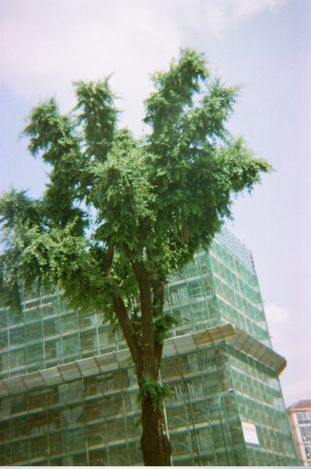 Old Photos