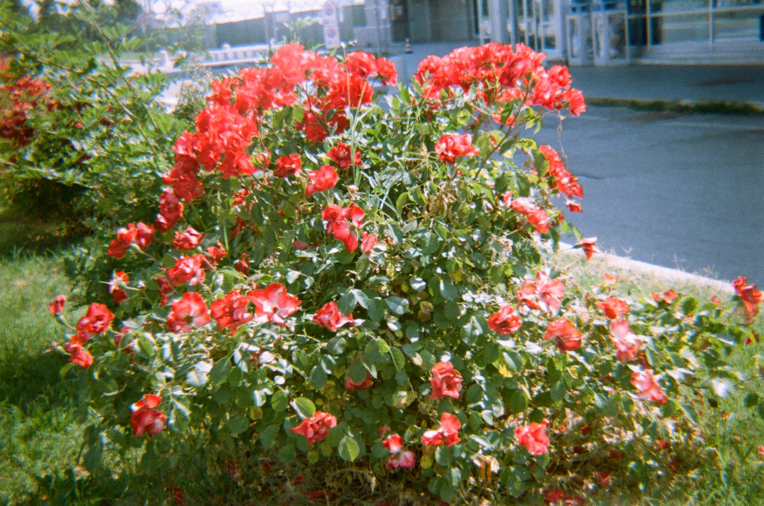 Old Photos