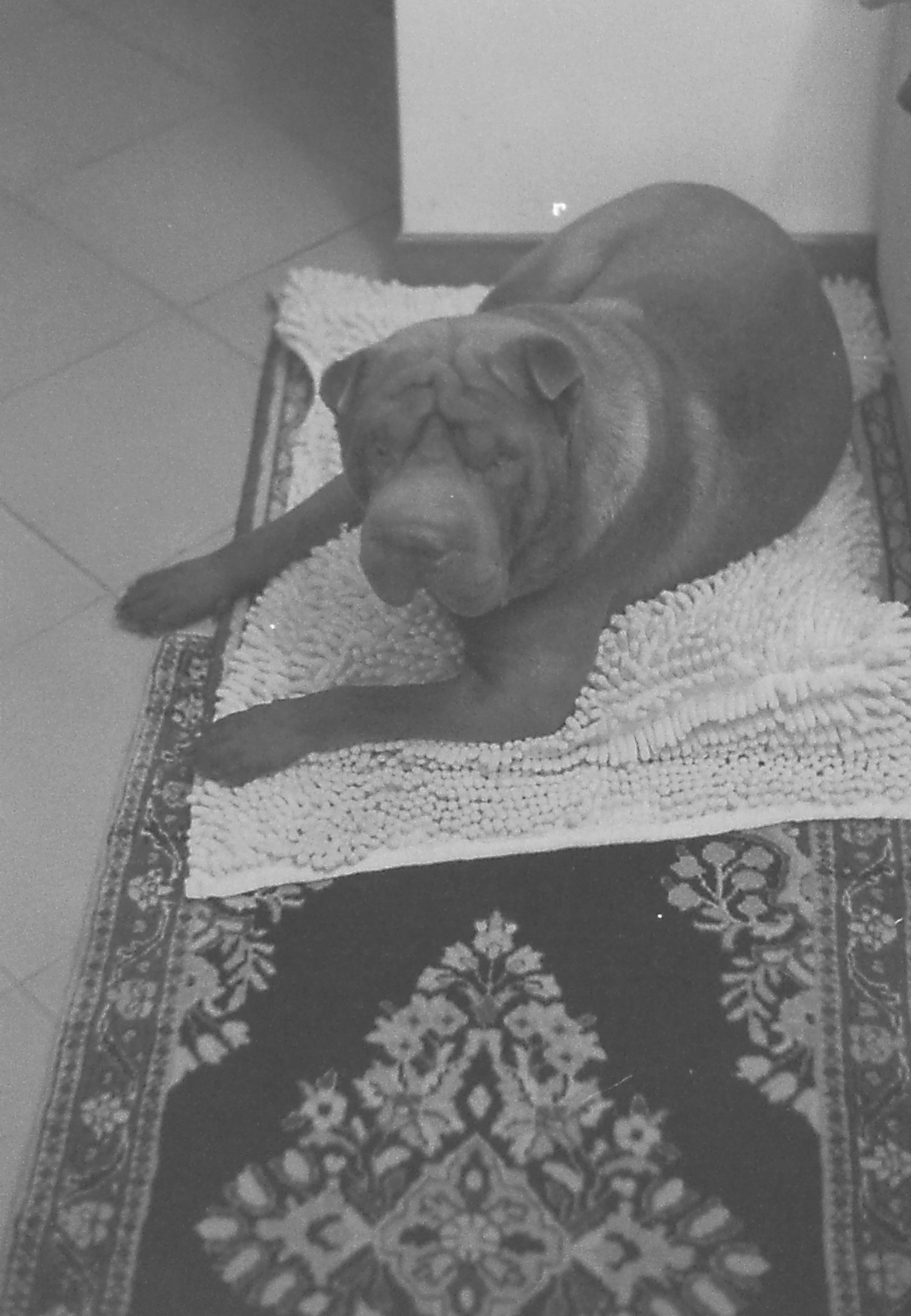 Oliver