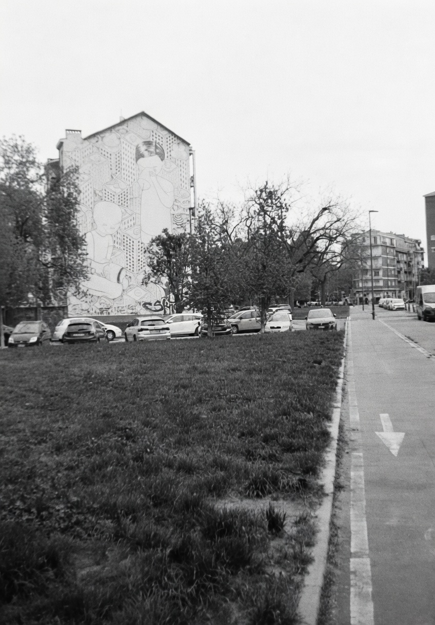 Camminata tra i ciliegi in fiore 2026